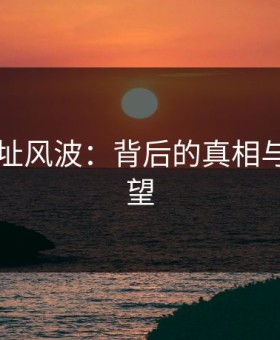 51网网址风波：背后的真相与未来展望