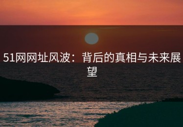 51网网址风波：背后的真相与未来展望