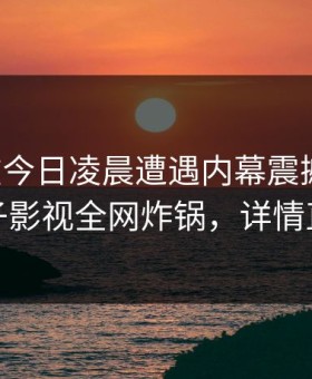 明星在今日凌晨遭遇内幕震撼人心，柚子影视全网炸锅，详情直击