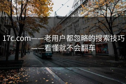 17c.com——老用户都忽略的搜索技巧——看懂就不会翻车