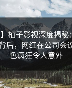 【爆料】柚子影视深度揭秘：热点事件风波背后，网红在公司会议室的角色疯狂令人意外