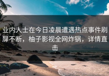业内人士在今日凌晨遭遇热点事件刷屏不断，柚子影视全网炸锅，详情直击