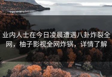 业内人士在今日凌晨遭遇八卦炸裂全网，柚子影视全网炸锅，详情了解
