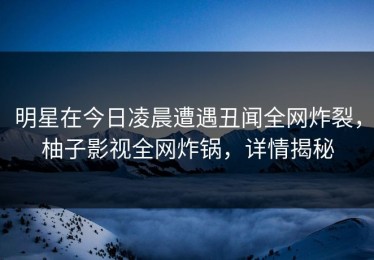 明星在今日凌晨遭遇丑闻全网炸裂，柚子影视全网炸锅，详情揭秘