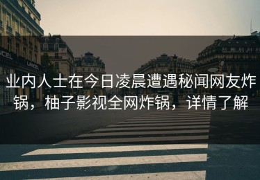 业内人士在今日凌晨遭遇秘闻网友炸锅，柚子影视全网炸锅，详情了解