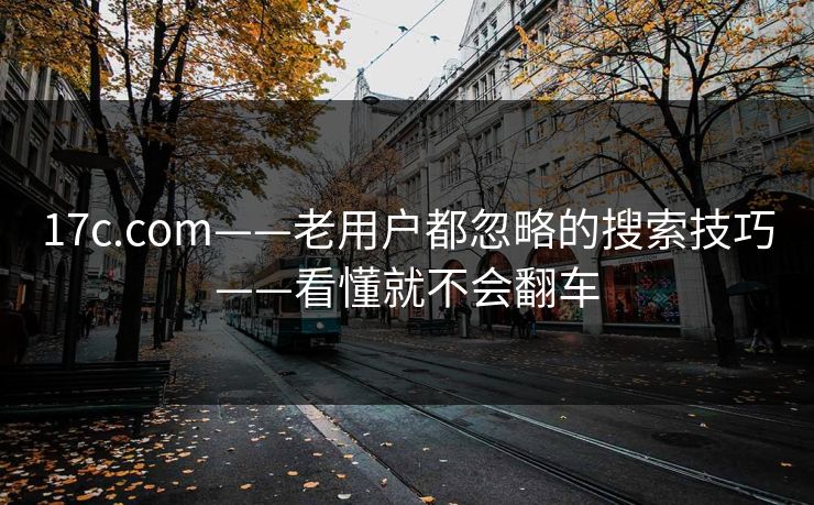 17c.com——老用户都忽略的搜索技巧——看懂就不会翻车