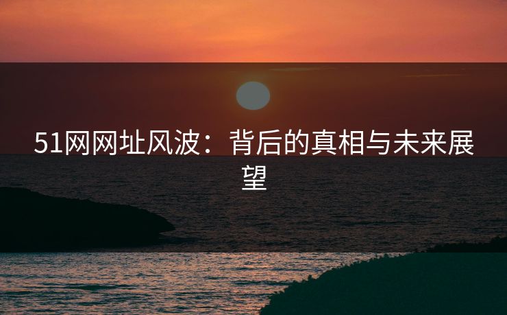 51网网址风波：背后的真相与未来展望