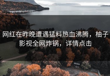 网红在昨晚遭遇猛料热血沸腾，柚子影视全网炸锅，详情点击