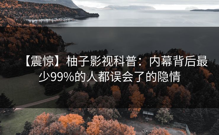 【震惊】柚子影视科普：内幕背后最少99%的人都误会了的隐情